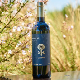 Maquis Revela Carmenere 2023 2